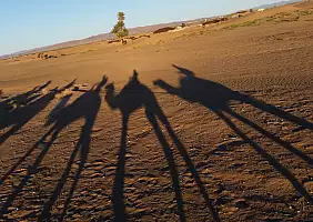 turistipercaso marocco-3cys8