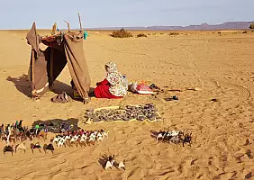 turistipercaso marocco-436jv