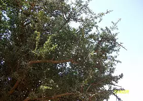 turistipercaso marocco-7n78v