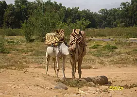 turistipercaso marocco-a5ucz