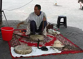 turistipercaso marocco-dpn8g
