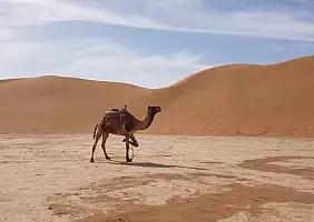 turistipercaso marocco-gh6es