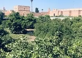 turistipercaso marocco-j9wsu