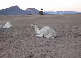 turistipercaso marocco-v37eh