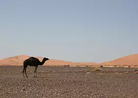 turistipercaso marocco-vgpb4