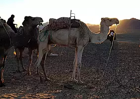 turistipercaso marocco-vmk2v