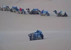 turistipercaso marocco-x6pjg