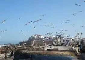 turistipercaso marocco-xa1z3