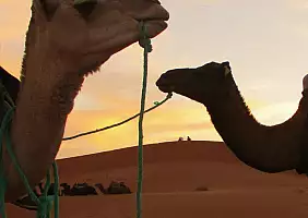 turistipercaso marrakech-quartiere-g7dps