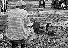 turistipercaso marrakesh-streetfood-4fth7