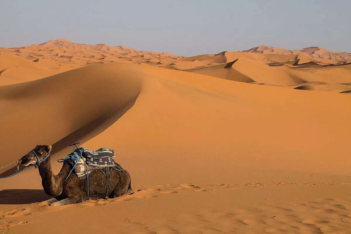 Tra le dune di Merzouga