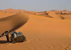 turistipercaso marrakesh-streetfood-8trke
