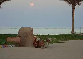 turistipercaso marsa-alam-mare-syz8n