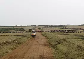 turistipercaso masai-mara-natura-4wv2d