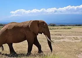 turistipercaso masai-mara-natura-hsrkq