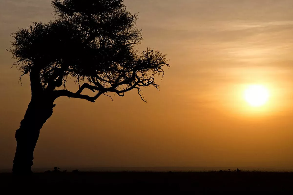 Tramonto masai Mara