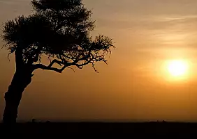 turistipercaso masai-mara-natura-zxpqp