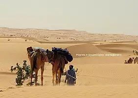 turistipercaso mauritania-4575b