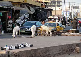 turistipercaso mauritania-5y3fy