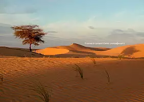 turistipercaso mauritania-hw1q8