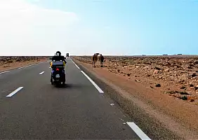 turistipercaso mauritania-n8zju