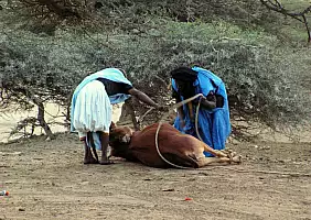turistipercaso mauritania-ss8n9