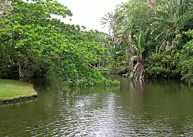 turistipercaso mauritius-1cup1