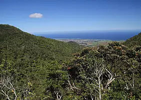 turistipercaso mauritius-1dhf4