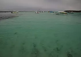 turistipercaso mauritius-1eb8z