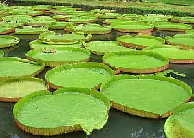 turistipercaso mauritius-69pfx