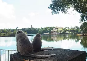 turistipercaso mauritius-7wfsn