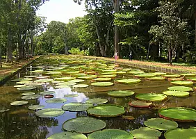 turistipercaso mauritius-d1pnm