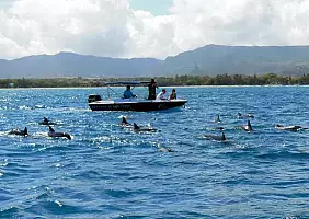 turistipercaso mauritius-f8vs4