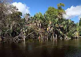 turistipercaso mauritius-v1aax