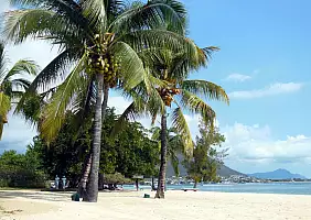 turistipercaso mauritius-x7yx6
