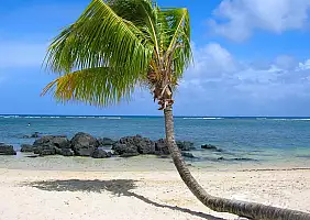 turistipercaso mauritius-ybede