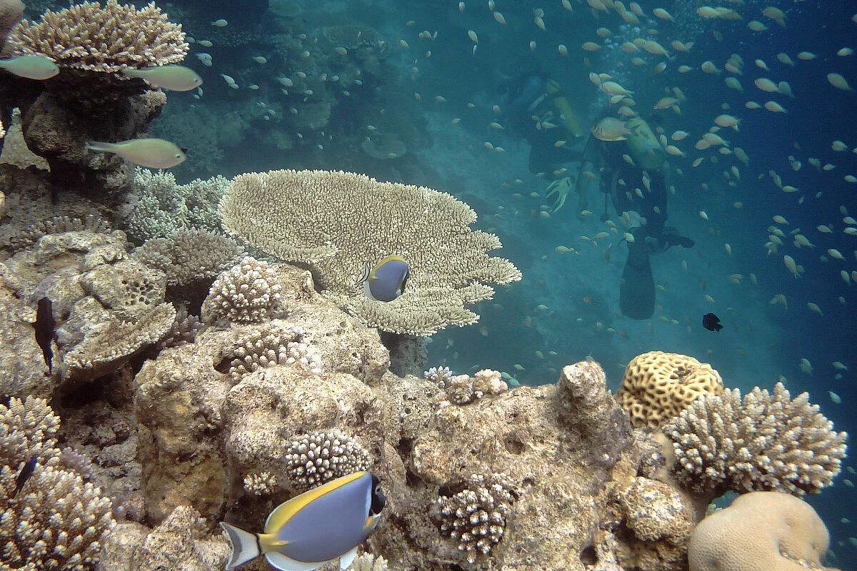Un sogno che diviene realtà…Maldive