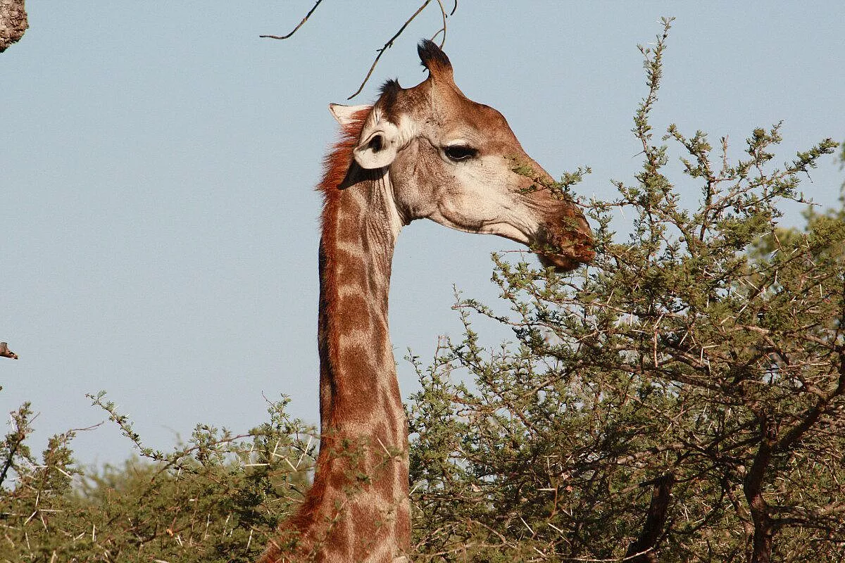 Tour Sud Africa