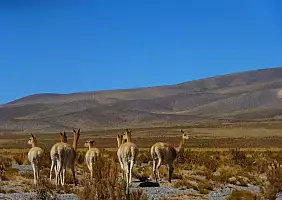 turistipercaso mendoza-f8zz8