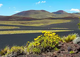turistipercaso mendoza-shzny