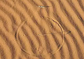 turistipercaso merzouga-e-deserto-marocchino-k9sp9