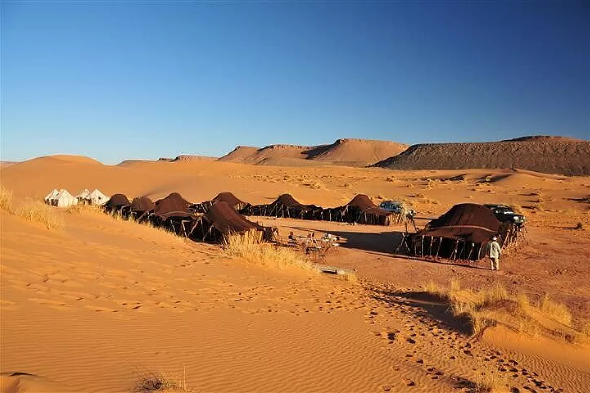 Campo nel deserto
