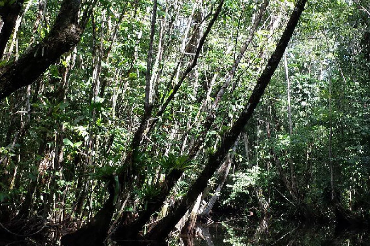 Rio Dulce