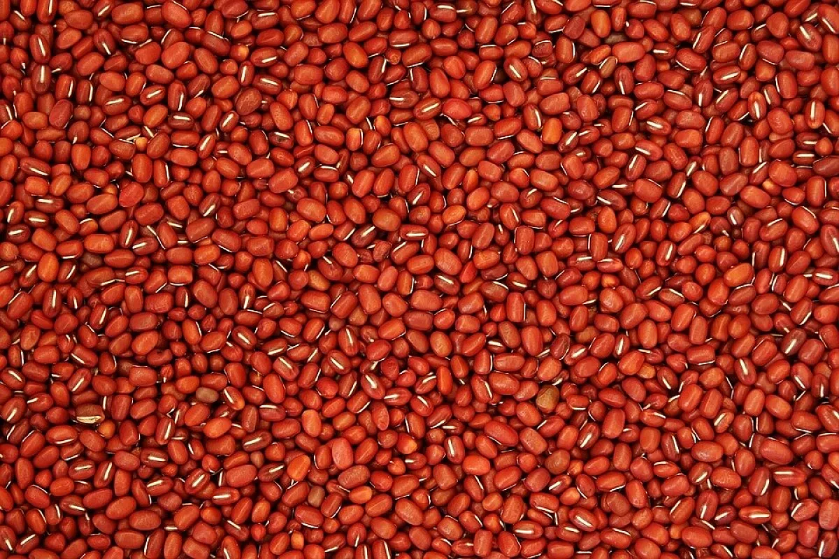 Fagioli alla birra