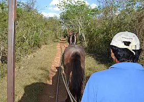 turistipercaso messico-g854g