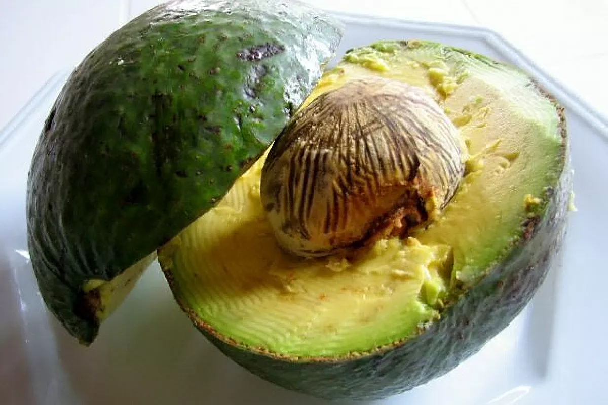 Guacamole 2