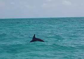 turistipercaso messico-mare-19dck