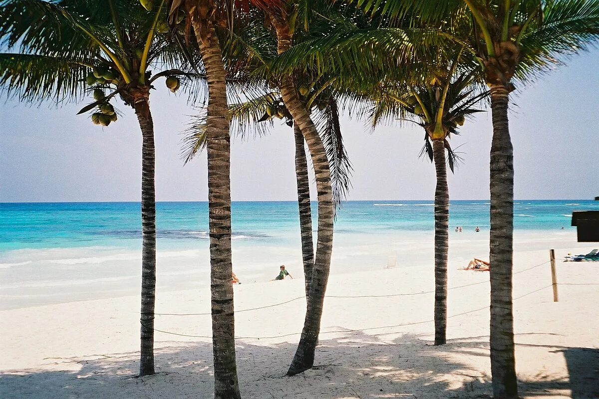 Playa del Carmen e Holbox
