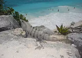 turistipercaso mexico-bn2eh