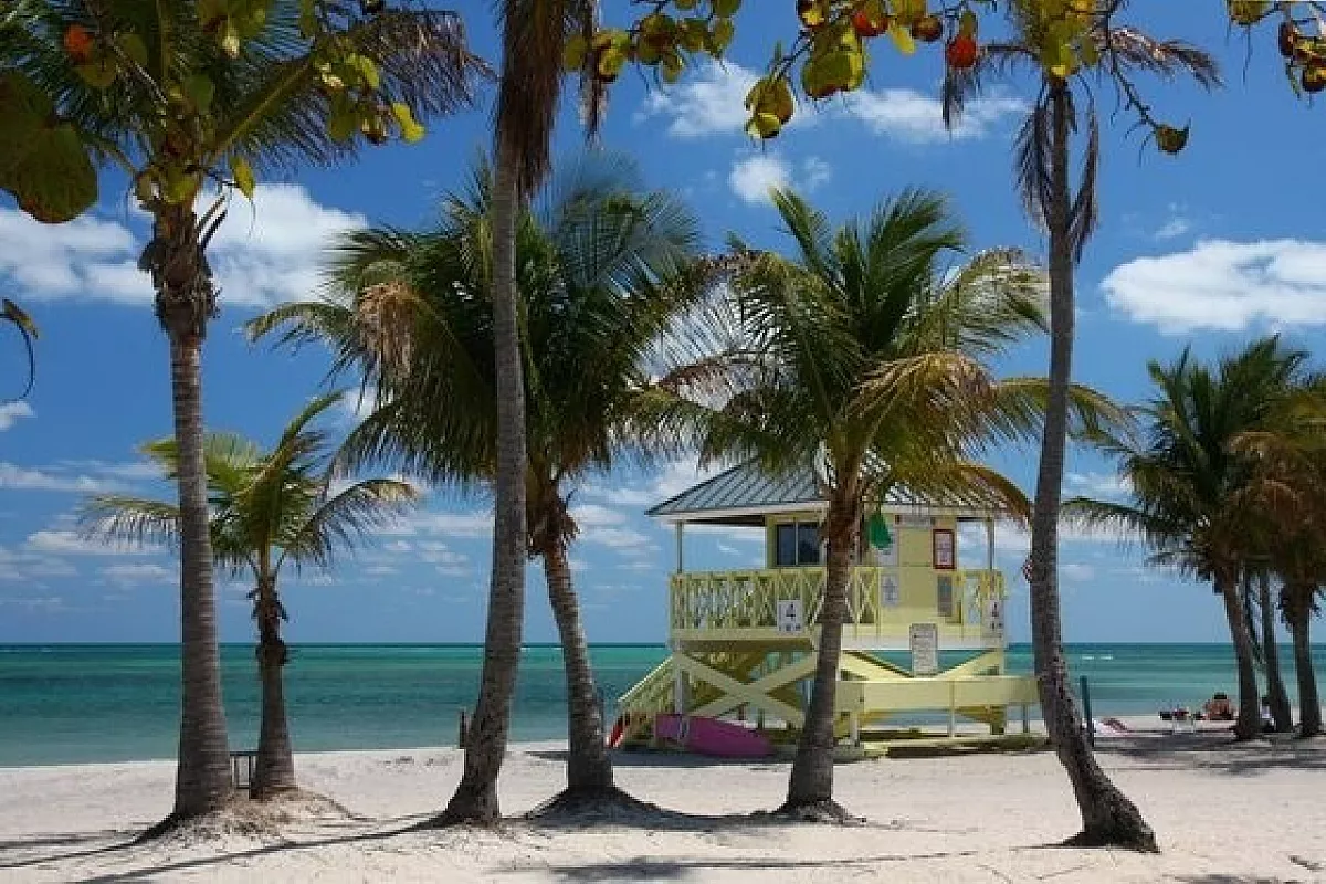 Welcome to Miami